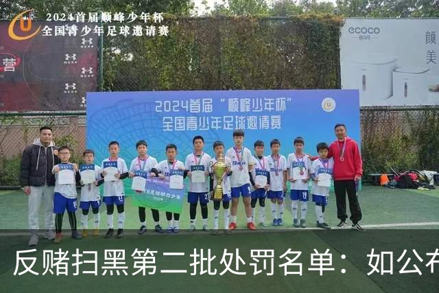 反赌扫黑第二批处罚名单：如公布 应与准入同步